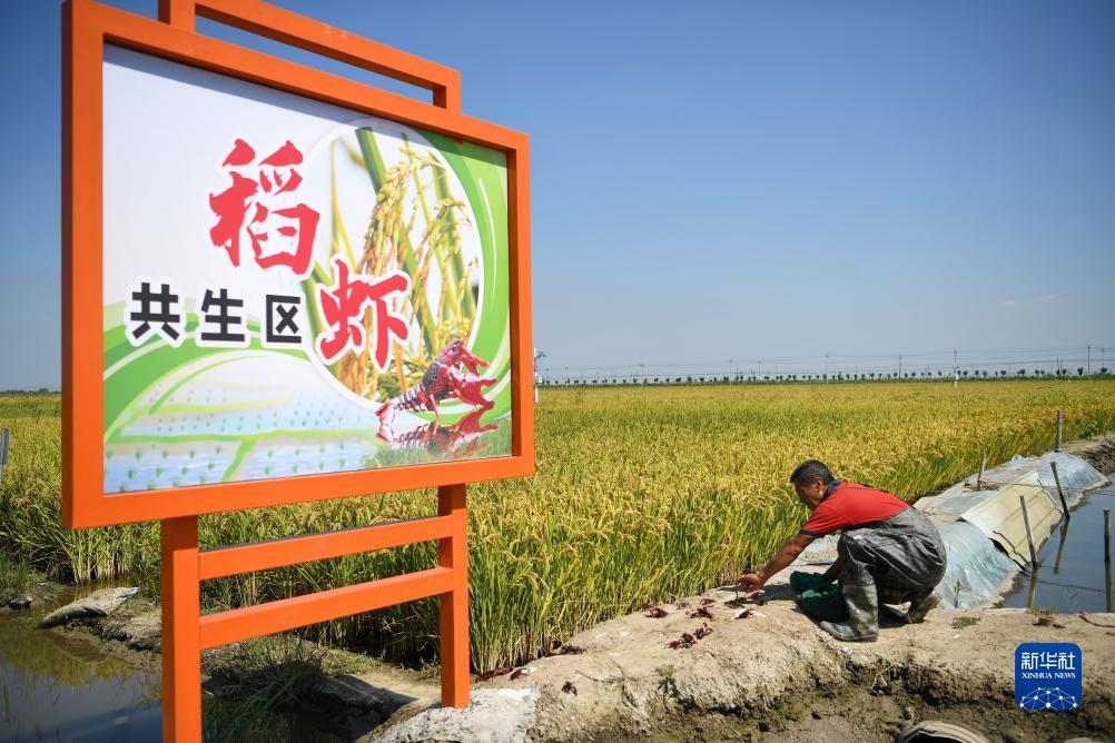 俄罗斯245娱乐